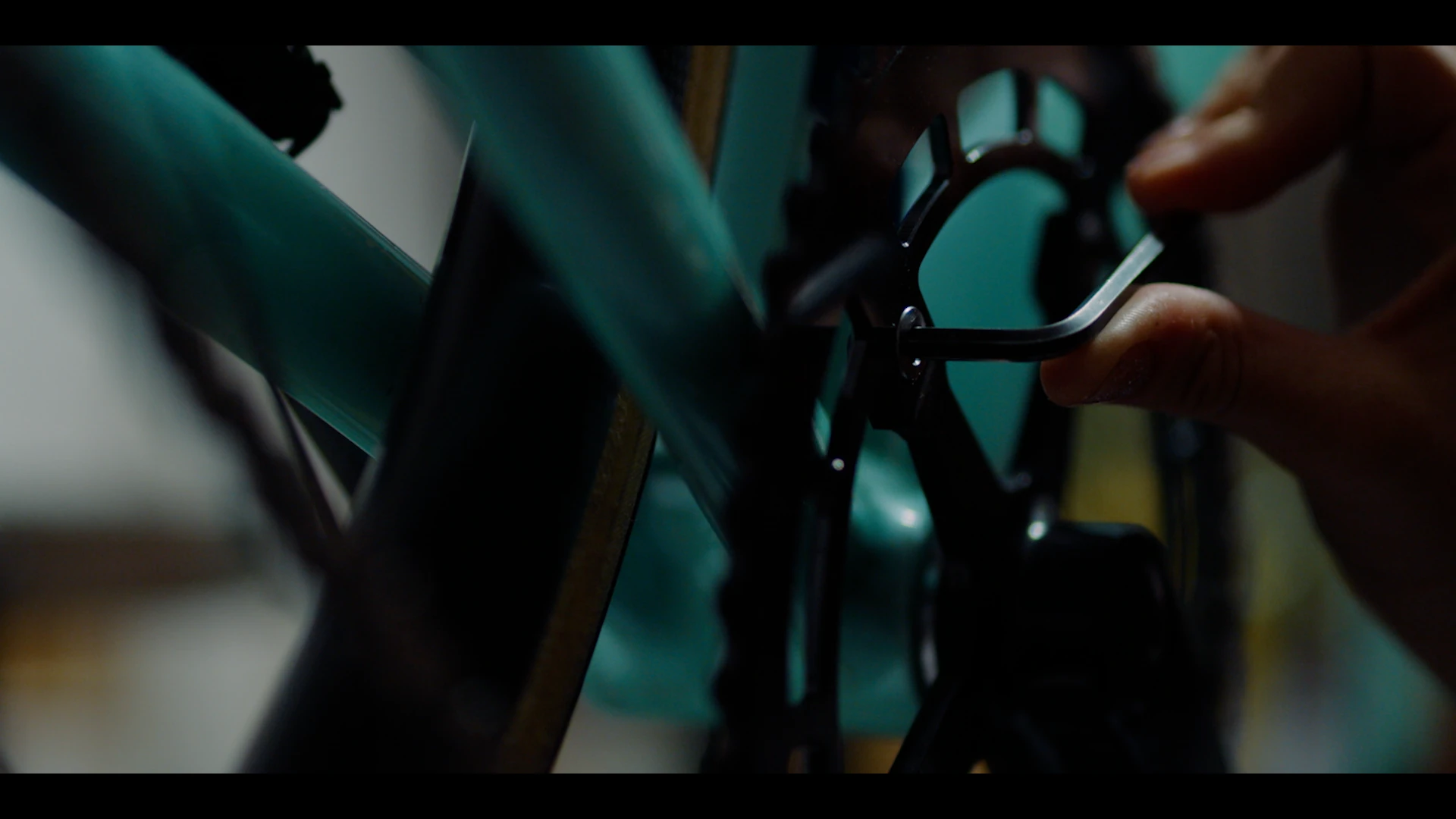 Affinity Cycles — frame 5
