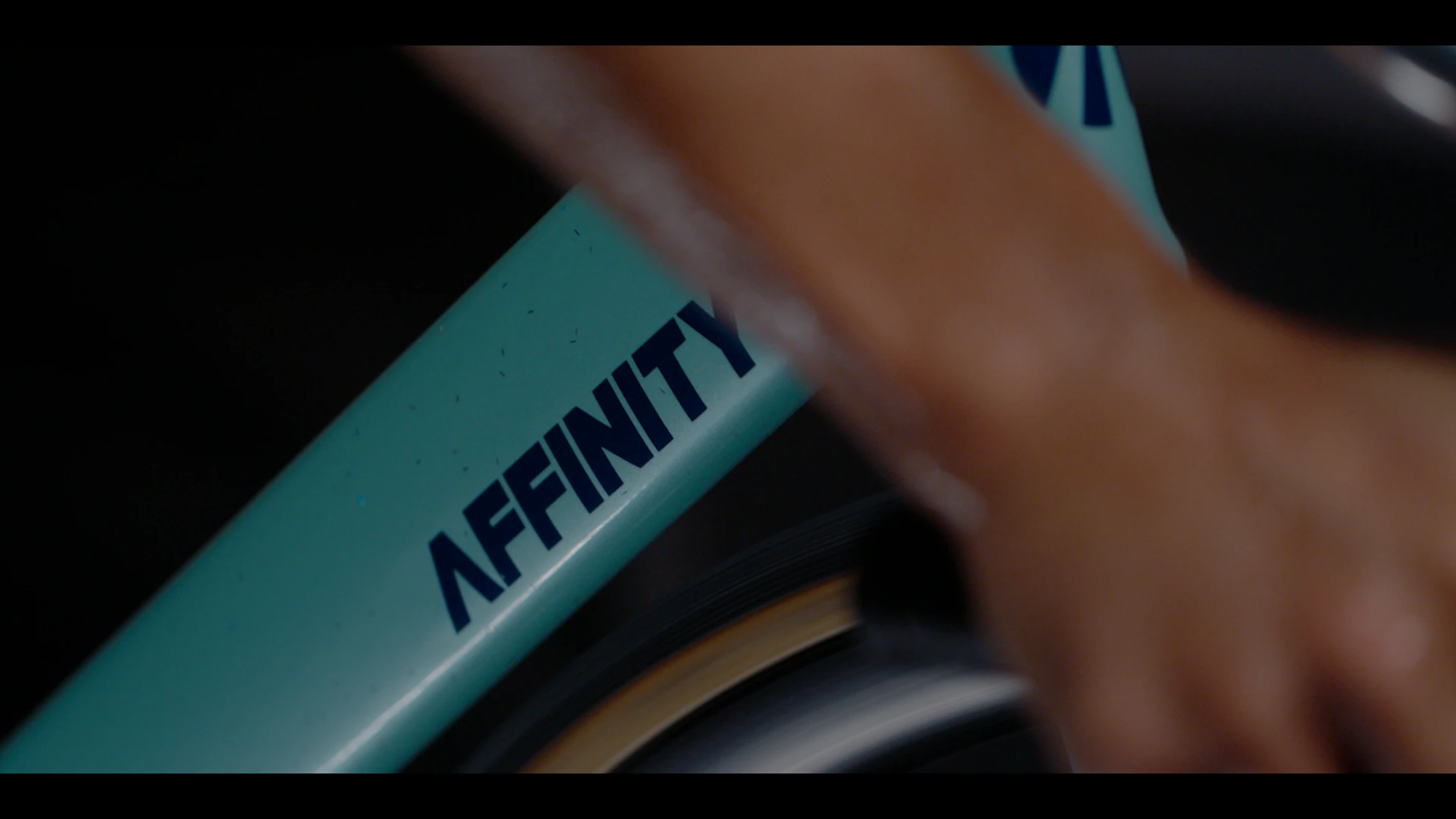 Affinity Cycles — frame 10