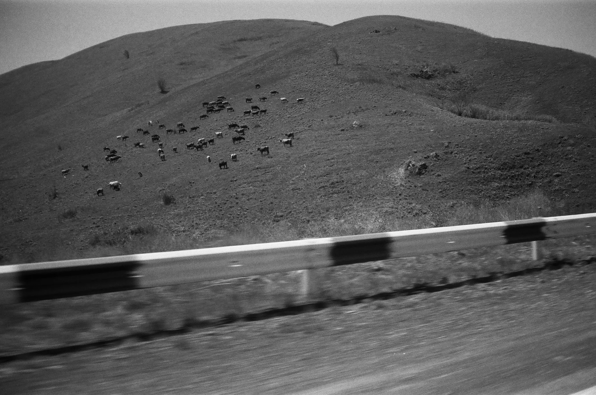 Lavash, photograph 3 of 9