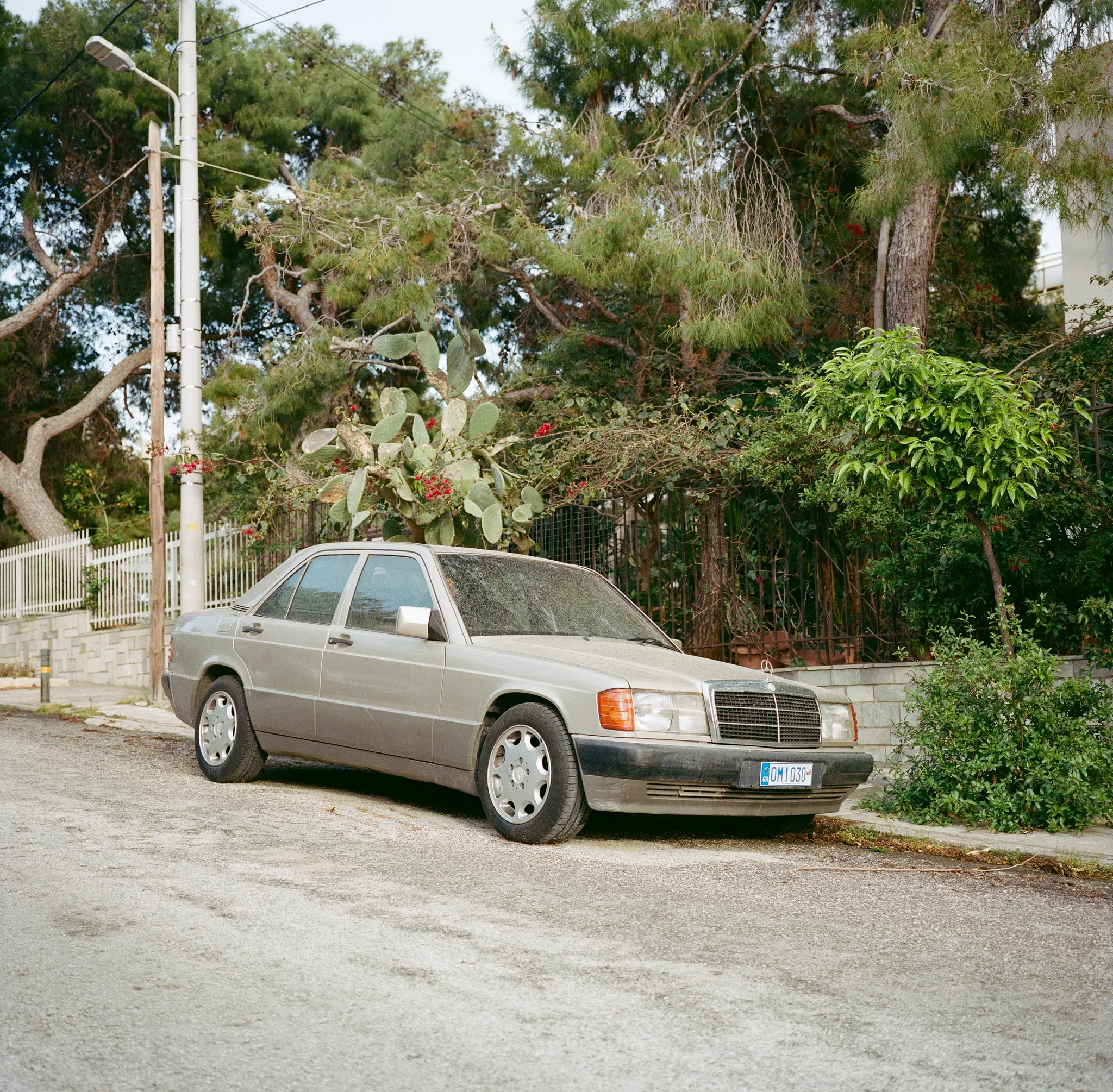 Alternate Side, photograph 11 of 14