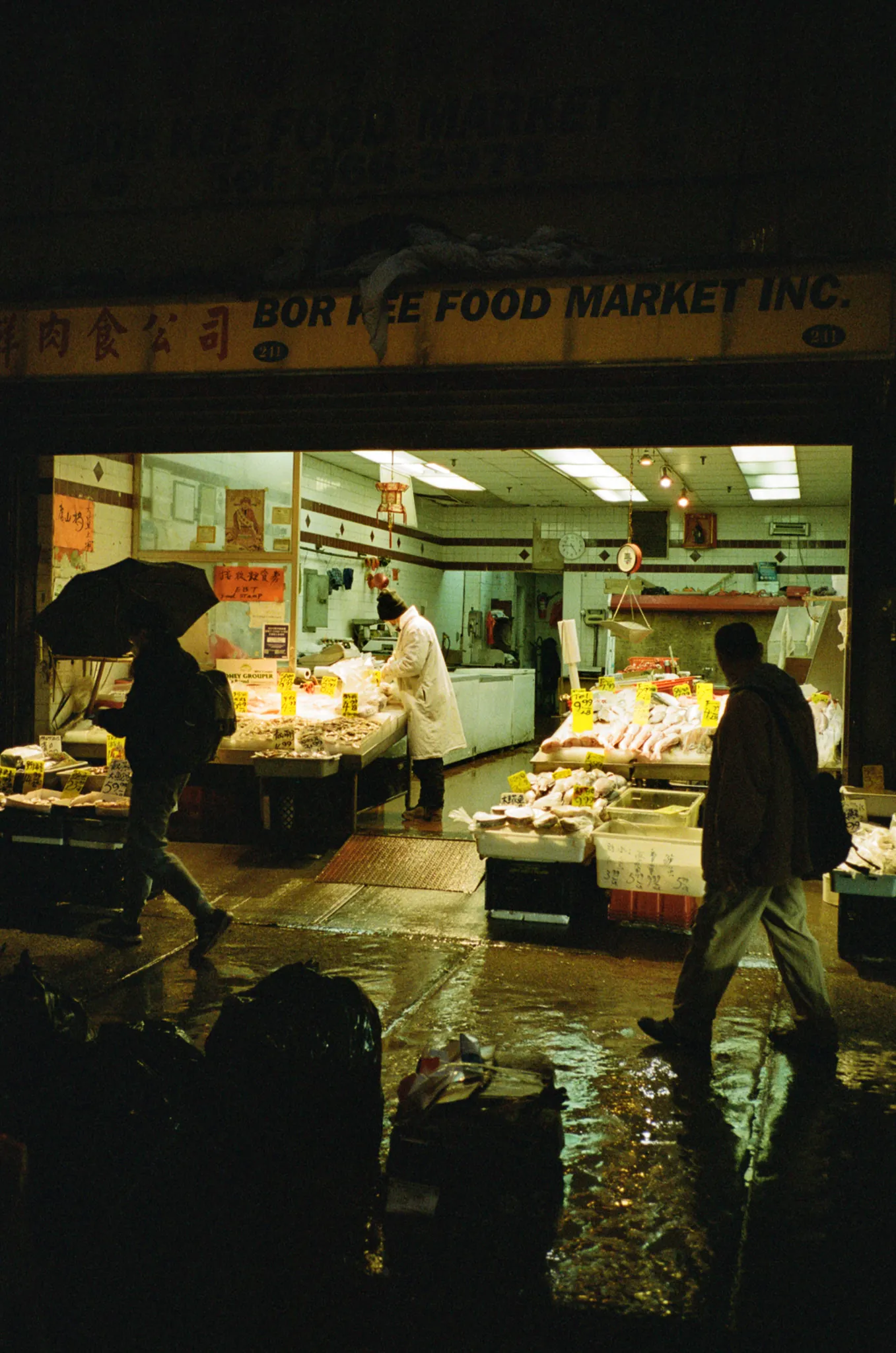 After Dark, photograph 3 of 15